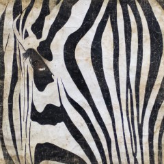 ZEBRE (120x120cm)
